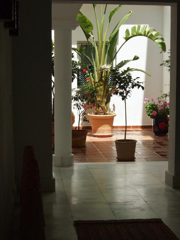 Casa Atlantica Beautiful Apartments Rota Exterior foto