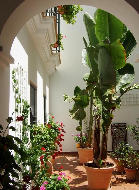 Casa Atlantica Beautiful Apartments Rota Exterior foto